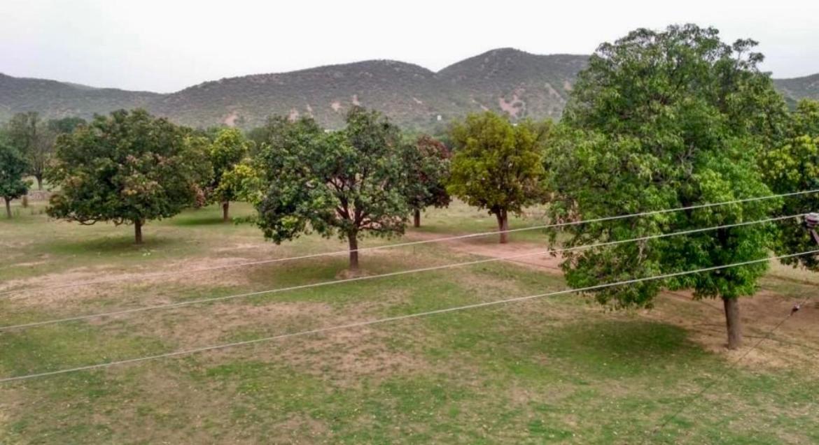 Green Vatika Farm Jaipur Ngoại thất bức ảnh
